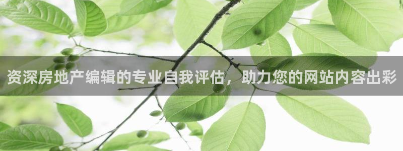 ag九游会登录j9入口